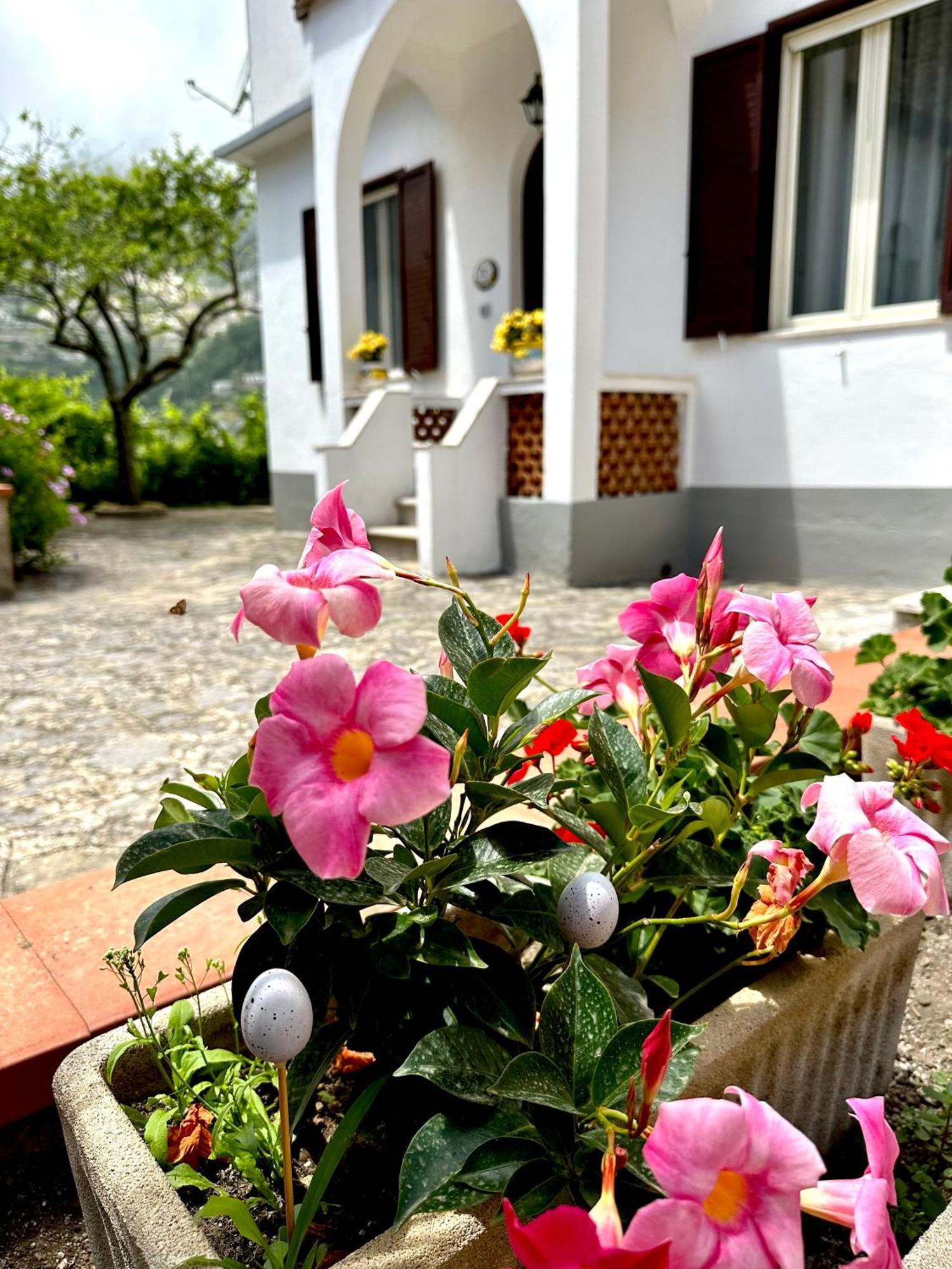 Vila Simona House Ravello Exteriér fotografie